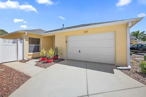 1483 Alexandria Place The Villages FL 32162