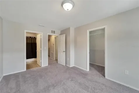 5053 White Sanderling Court Tampa FL 33619