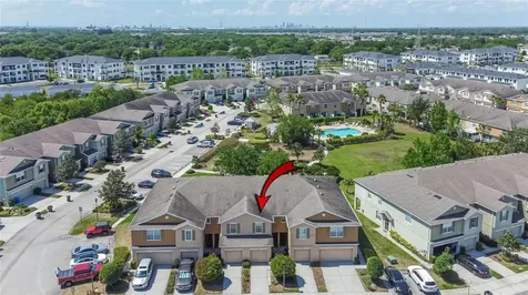 5053 White Sanderling Court Tampa FL 33619