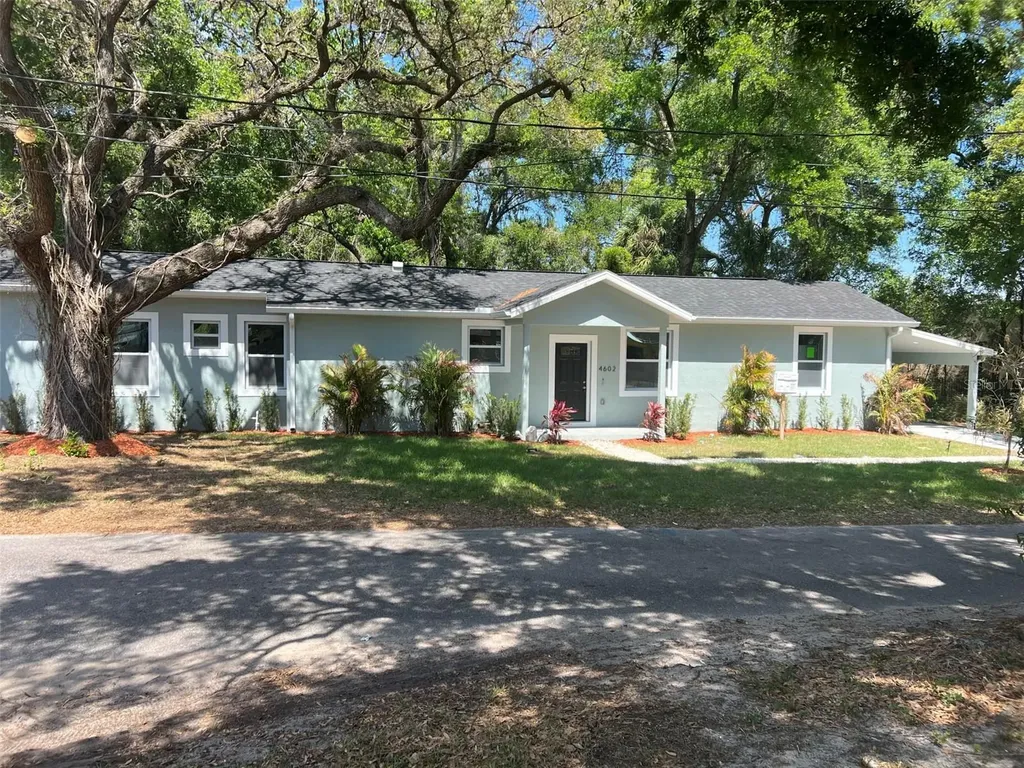 4602 N Manley Street Tampa FL 33610