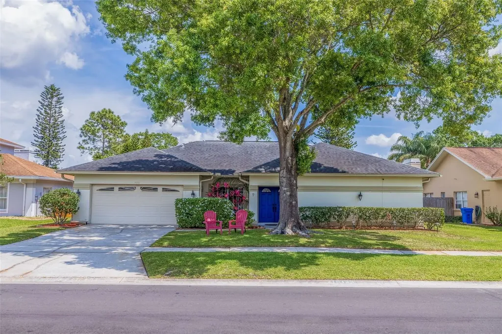14133 Stonegate Drive Tampa FL 33624