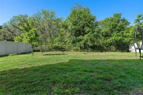 10650 Bonne Chance Drive Orlando FL 32832