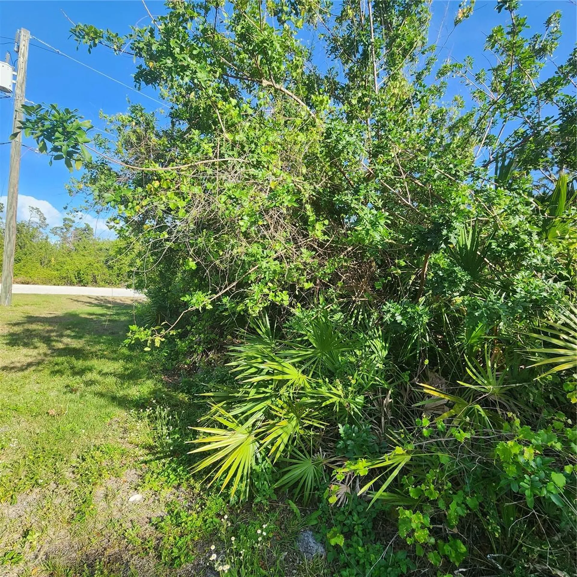 12282 Appleberg Circle Port Charlotte FL 33981