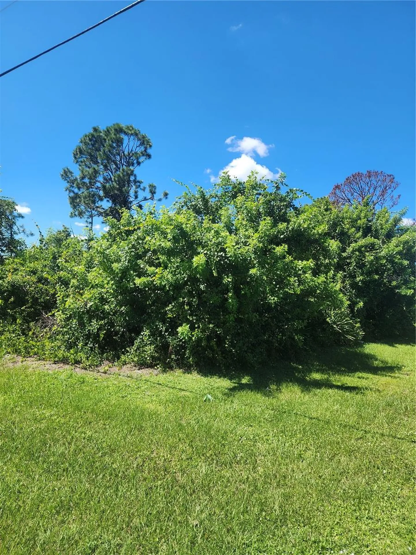 12282 Appleberg Circle Port Charlotte FL 33981