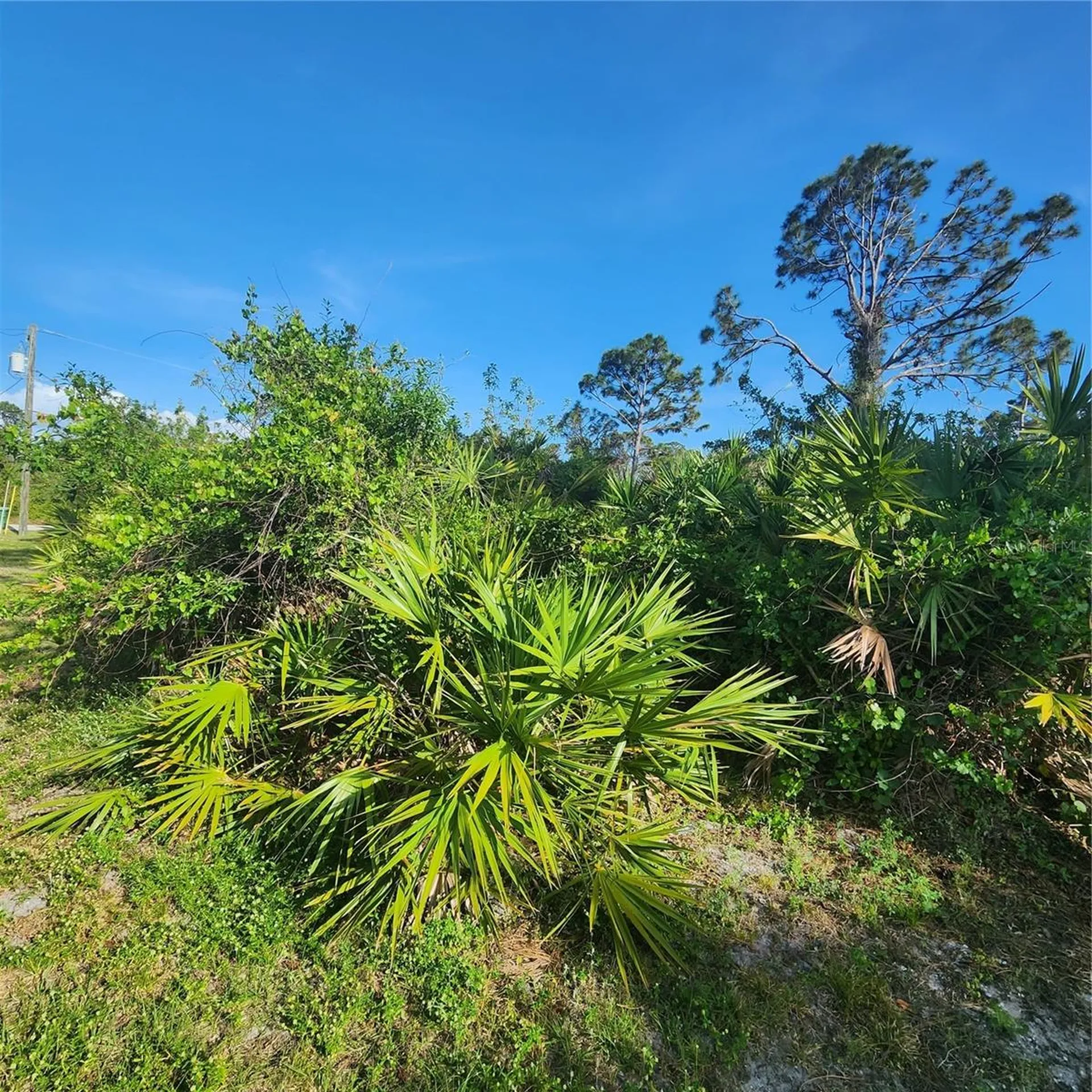 12282 Appleberg Circle Port Charlotte FL 33981