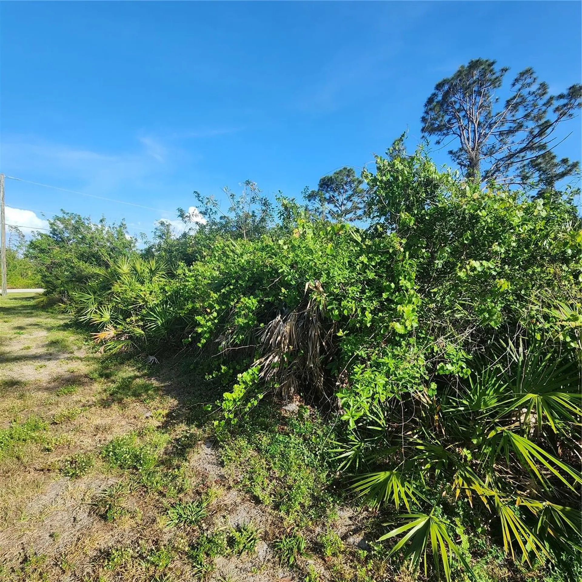 12282 Appleberg Circle Port Charlotte FL 33981