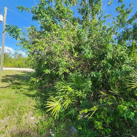 12282 Appleberg Circle Port Charlotte FL 33981