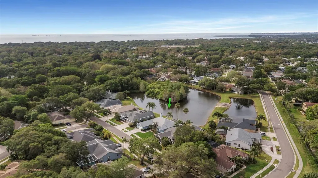 210 Water View Court Safety Harbor FL 34695