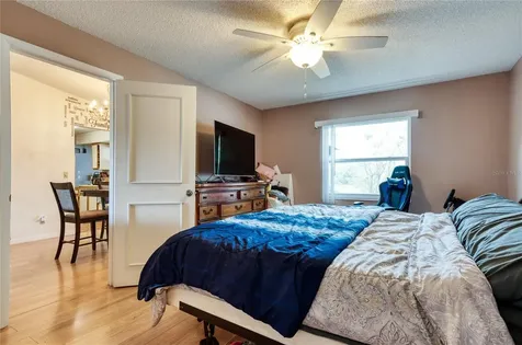 11222 Fiddlewood Drive Riverview FL 33579