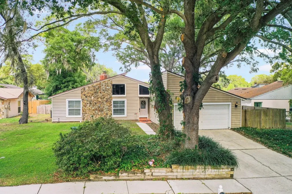 1009 Samy Drive Tampa FL 33613