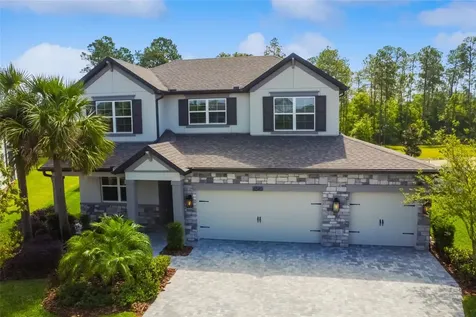 6540 Dutton Drive Wesley Chapel FL 33545
