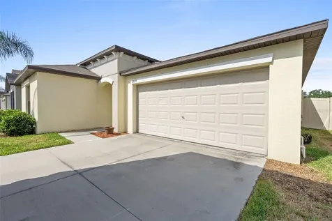 12629 Lemon Pepper Drive Riverview FL 33578