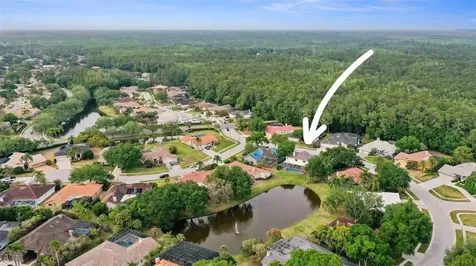 3970 Wellington Parkway Palm Harbor FL 34685