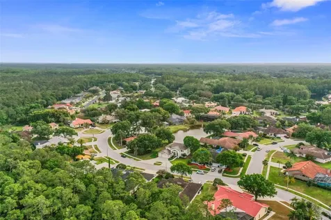 3970 Wellington Parkway Palm Harbor FL 34685