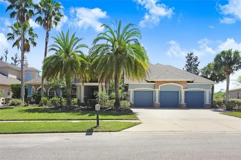 21218 Quiet Haven Court Land O Lakes FL 34637