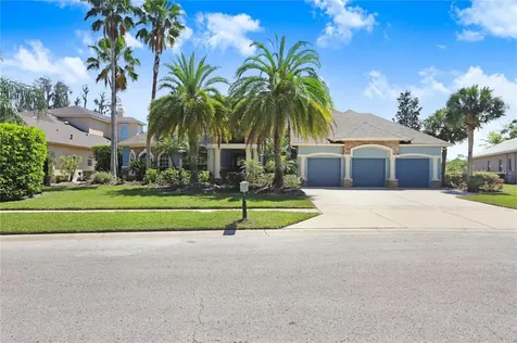 21218 Quiet Haven Court Land O Lakes FL 34637