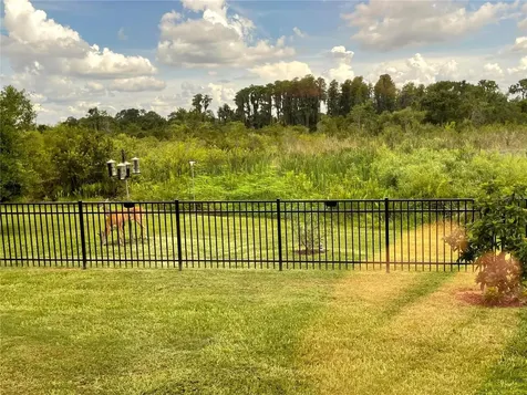 21218 Quiet Haven Court Land O Lakes FL 34637