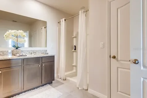 5249 Greenheart Avenue Mount Dora FL 32757