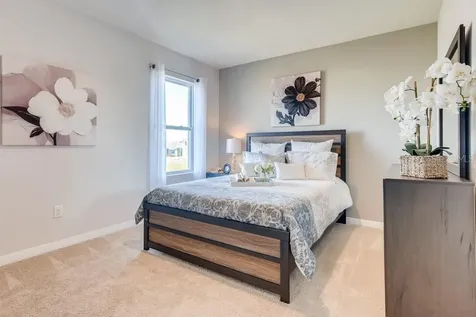 5249 Greenheart Avenue Mount Dora FL 32757