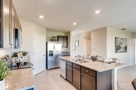 5249 Greenheart Avenue Mount Dora FL 32757