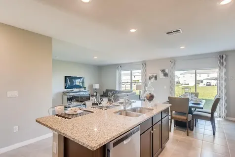 5249 Greenheart Avenue Mount Dora FL 32757