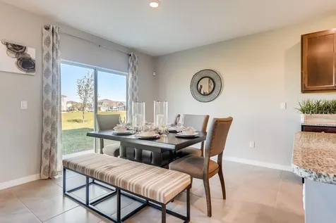 5249 Greenheart Avenue Mount Dora FL 32757