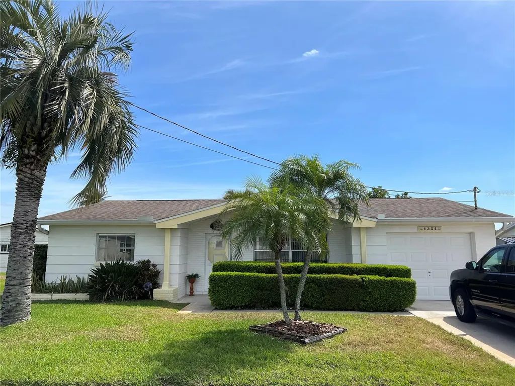 1254 Trunkfish Drive Holiday FL 34690