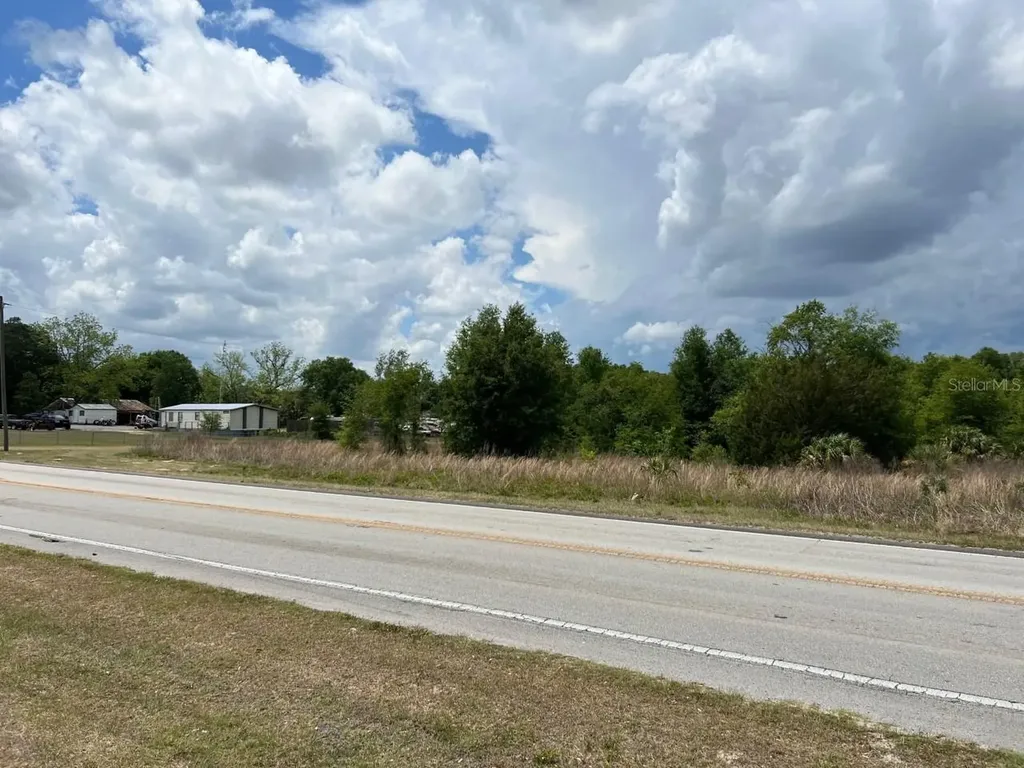 S Highway 25 Weirsdale FL 32195