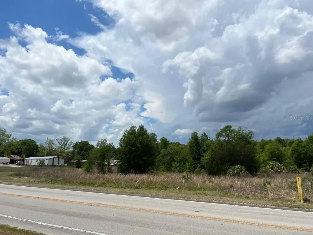 S Highway 25 Weirsdale FL 32195
