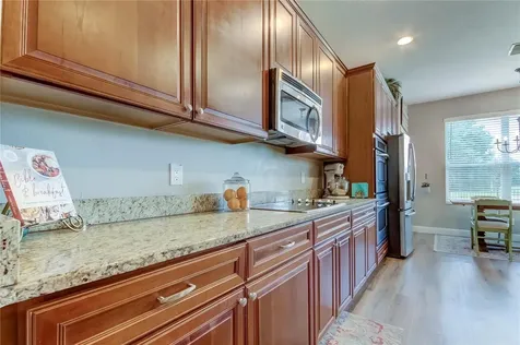 17738 Ayrshire Boulevard Land O Lakes FL 34638