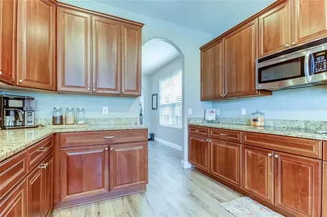 17738 Ayrshire Boulevard Land O Lakes FL 34638