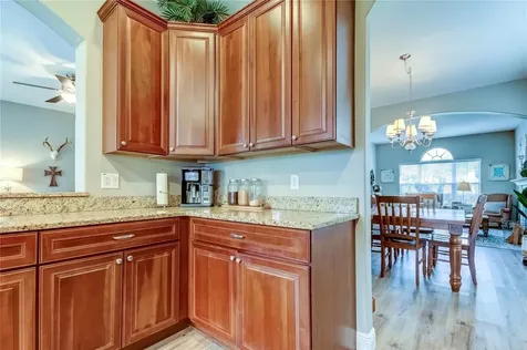 17738 Ayrshire Boulevard Land O Lakes FL 34638