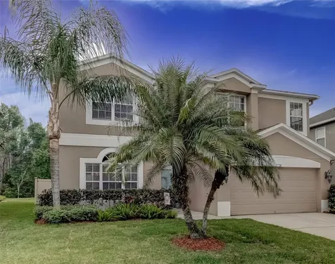17738 Ayrshire Boulevard Land O Lakes FL 34638