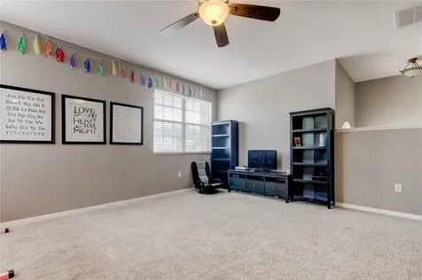 17738 Ayrshire Boulevard Land O Lakes FL 34638