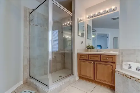 17738 Ayrshire Boulevard Land O Lakes FL 34638