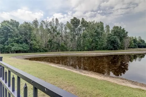 17738 Ayrshire Boulevard Land O Lakes FL 34638