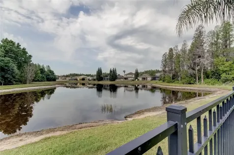 17738 Ayrshire Boulevard Land O Lakes FL 34638