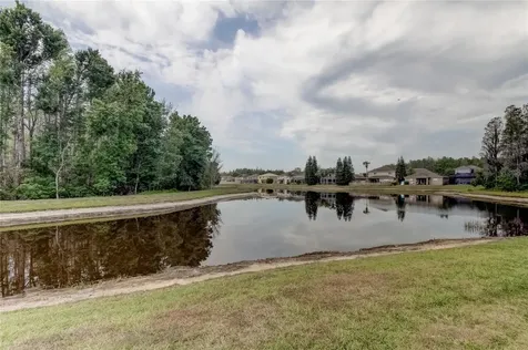 17738 Ayrshire Boulevard Land O Lakes FL 34638