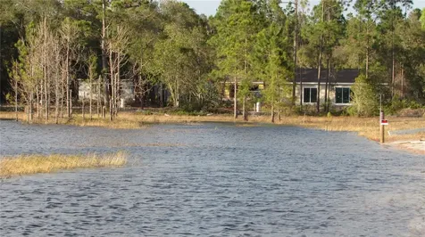 42 Fisher Pass Ocklawaha FL 32179
