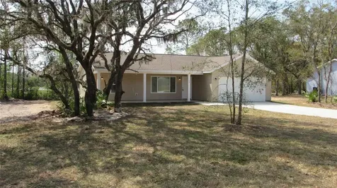 42 Fisher Pass Ocklawaha FL 32179
