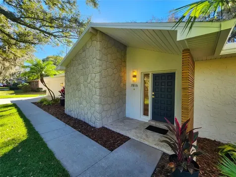 7816 N 52nd Street Tampa FL 33617