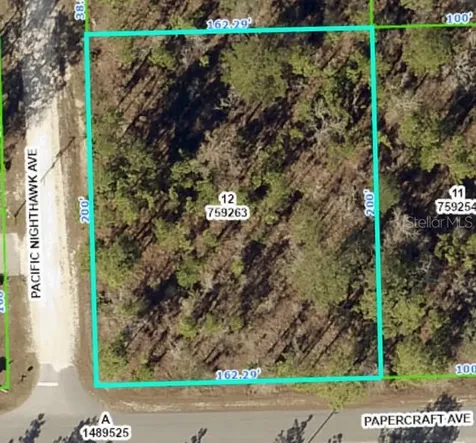 13085 Papercraft Avenue Weeki Wachee FL 34614