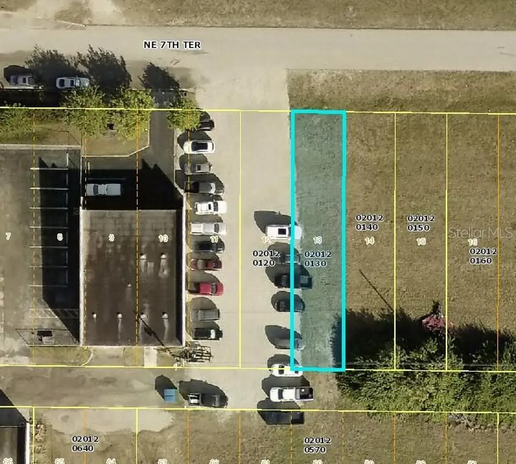 1028 NE 7th Terrace Cape Coral FL 33909