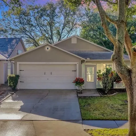 3647 Amelia Way Palm Harbor FL 34684