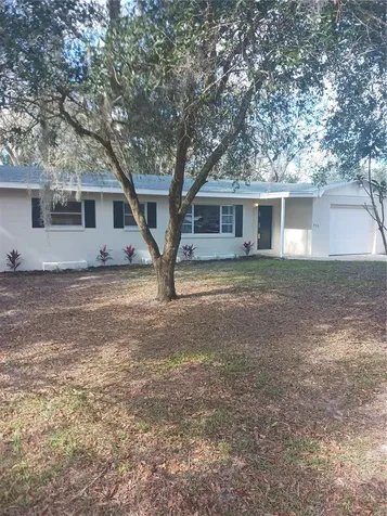 420 S Brooks Avenue Deland FL 32720