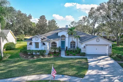 4824 Willow Ridge Terrace Valrico FL 33596