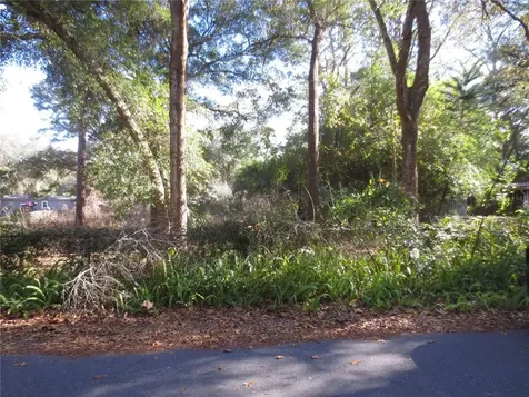 17336 SE 66th Place Ocklawaha FL 32179