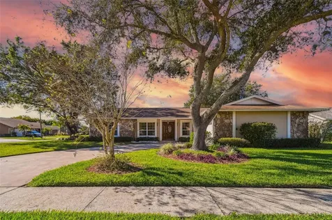 15002 Naturewalk Drive Tampa FL 33624