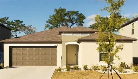 12963 Wildflower Meadow Drive Riverview FL 33579