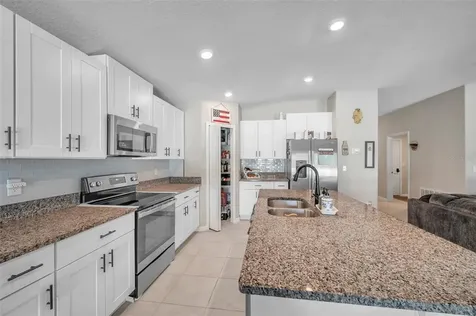 12963 Wildflower Meadow Drive Riverview FL 33579
